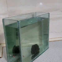اکواریوم ماهی  سفارش ساخت  شیشه ۶میل ابعاد ۴۰ سانت