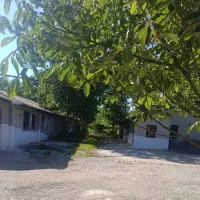 استخدام کارگر ساده مرغداری