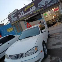 ماکسیما 84