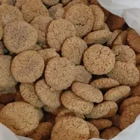 ترخینه تازه وپردوغ