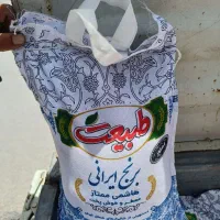 برنج شمالی و کامفیروزی