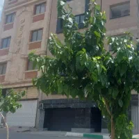 فروش آپارتمان نوساز و تجهیز شده ۱۲۲ متری رودهن