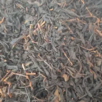 چای اصل لاهیجان بهاره و کشت اول