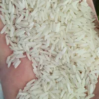 برنج خوشپخت