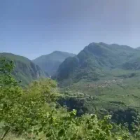 فروش-باغ