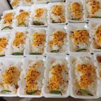 غذا با نوشابه و ماست رایگان