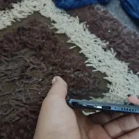 گوشی گوشی شیائومی نوت ۱۴پورو