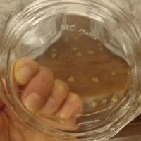 دو دست آجیل خوری عینکی اصل فرانسه