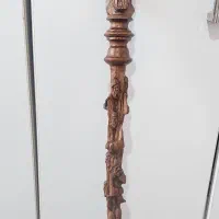 ۲ عدد عصا منبت کاری شده