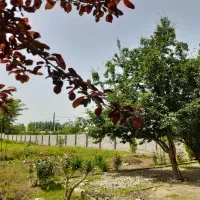 نیروی کار (پرورش گل وگیاه باغبانی)