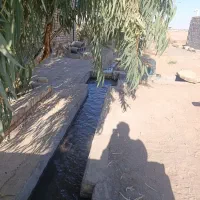 زمین کشاورزی و باغ با سند محضری (سند مادر دادگاهی)