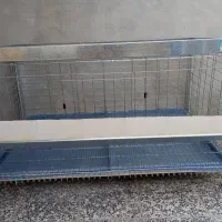 قفس مرغ تخمگذار