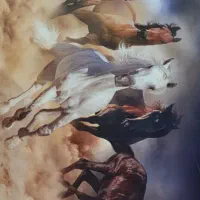 پازل ۱۰۰۰ تیکه mirooj نو نو