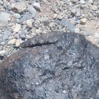 گوهر