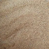 بذر یونجه|گل و گیاه طبیعی|افشار, |دیوار