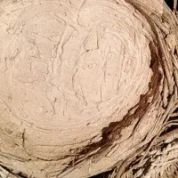 باسلام ،تعدادی سبد زنبور عسل موجود است