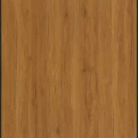 جذب حسابدار خانم