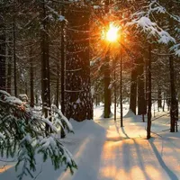 به یک نفر خانوم برای نظافت خونه