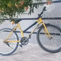 دوچرخه 24
