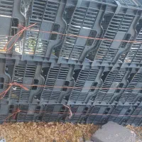 سبد فروشی