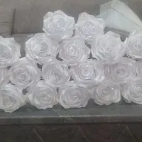 زیبایی