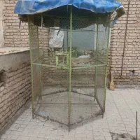قفس پرنده