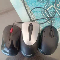موس کارکرده