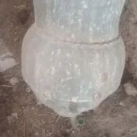 خمره‌سفالی ۷۰ قد‌ودهنه‌۳۵‌وقدمت‌۱۰۴‌ساله‌از‌اصفهان