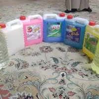 پک شوینده اقتصادی