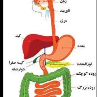 راهنمایی کنید لطفا
