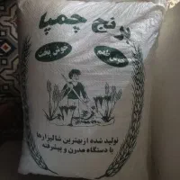 برنج چمپا