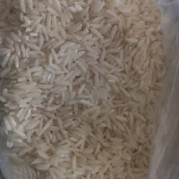 برنج محلی، هاشمی درجه یک