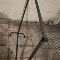 رگال