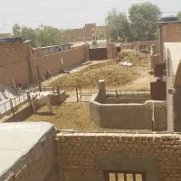 کود گاو اسب گوسفند