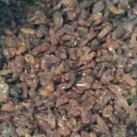 کشمش «گله»