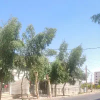 واحد-88متری-واقع-در-560هکتاری