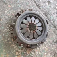 دیسک و صفحه (پرنده)