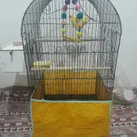 پرنده