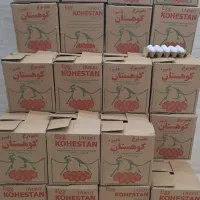 پخش تخم مرغ کریمی