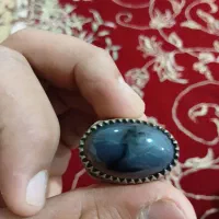 شجر|کلکسیون و سرگرمی|دزفول, |دیوار