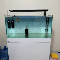 اکواریوم apa