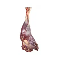 گوشت شتر‌مرغ