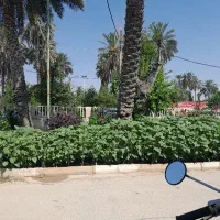 باغبانی درخدمتم