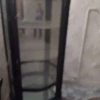 دلاور