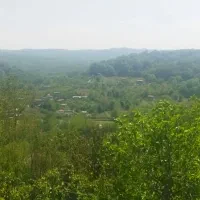 پیمانکاری