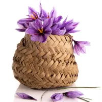 کودارگانیک تخصصی زعفران افزایش رشدوبنه سازی