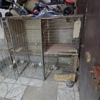 قفس کفتر