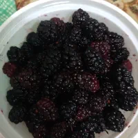 شاتوت علاوتر