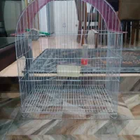 قفس بزرگ