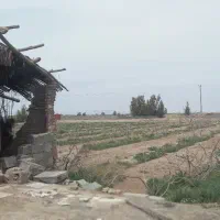 فروش زمین